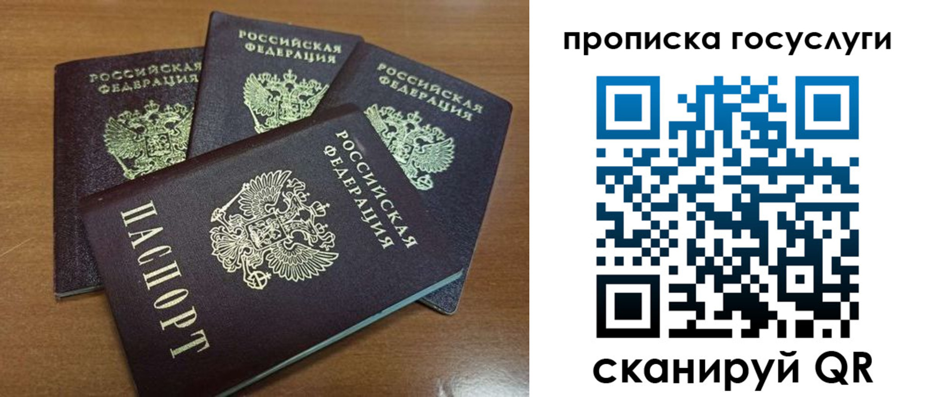 прописка 2025 в Жердевке